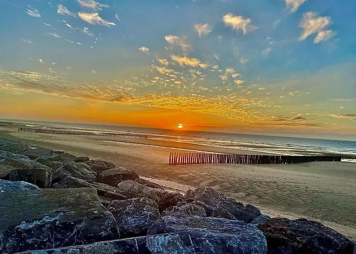 Le Narval * סאנגט