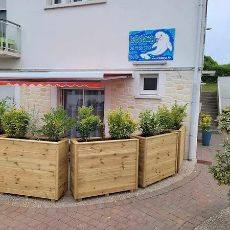 Apartman Le Narval *